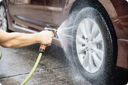 Auto Grooming Hamilton New Zealand